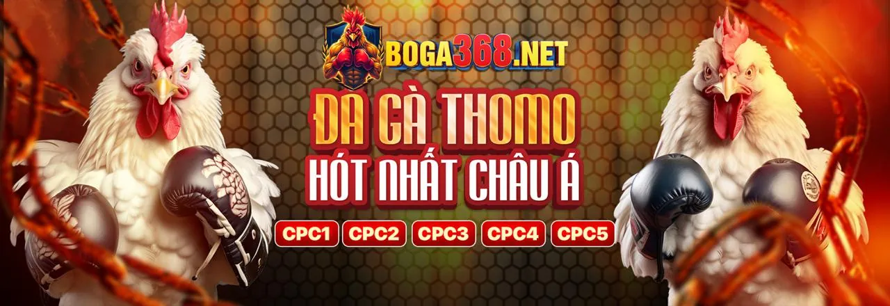 Đá Gà Trực Tuyến keo88 link vào 2026